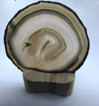 Lade das Bild in den Galerie-Viewer, Achatscheiben - verschiedene Variationen (Sammlerstücke),Naturachate