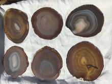 Lade das Bild in den Galerie-Viewer, Achatscheiben - verschiedene Variationen (Sammlerstücke),Naturachate