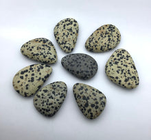 Lade das Bild in den Galerie-Viewer, Dalmatiner Jaspis Trommelstein