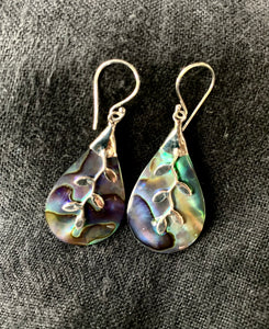 Seeopal-Abalone Ohrhänger mit 925 er Silberfassung