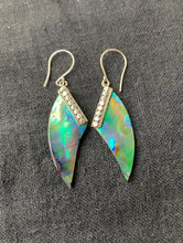 Lade das Bild in den Galerie-Viewer, Seeopal-Abalone Ohrhänger mit 925 er Silberfassung
